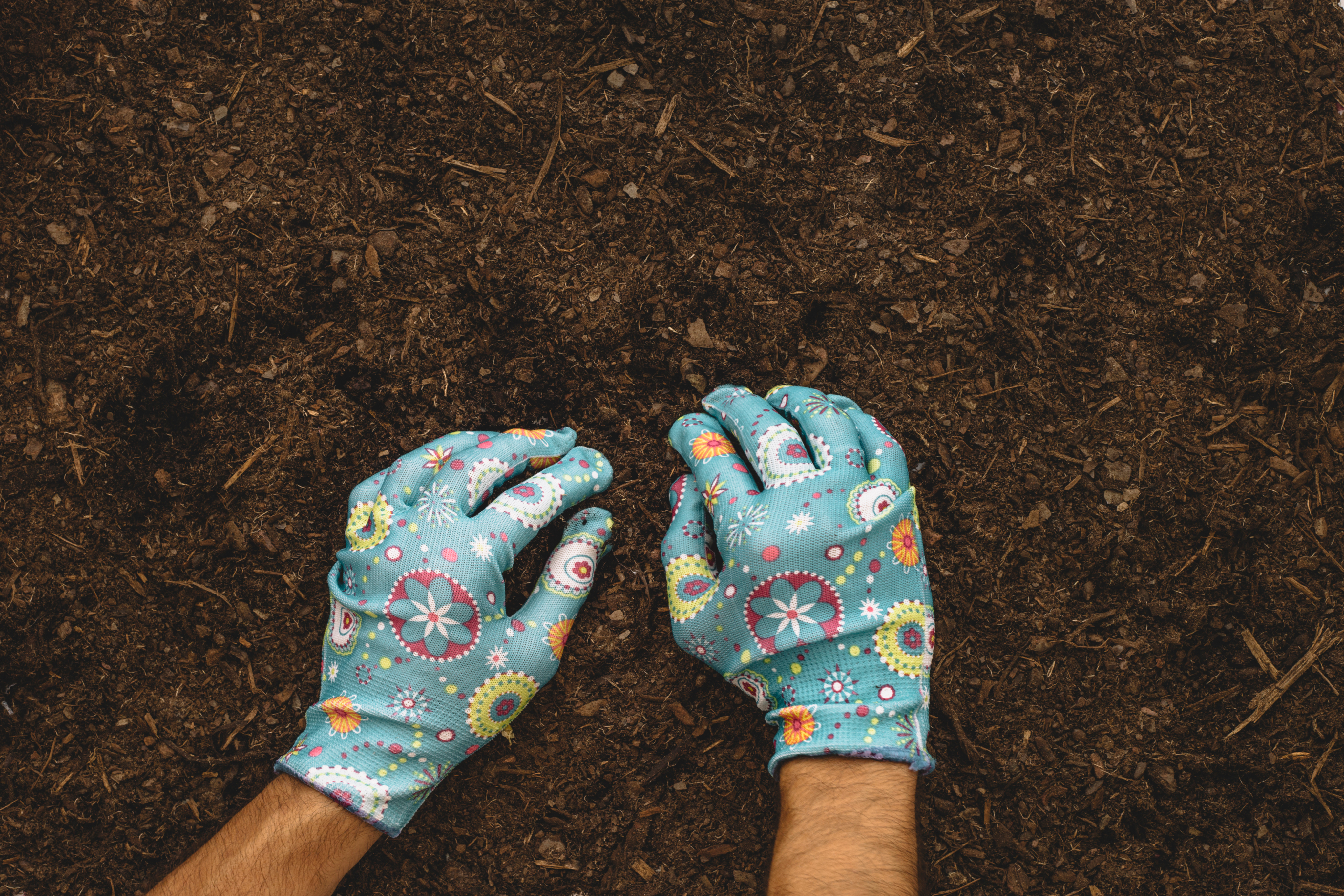 We cultivate and secure